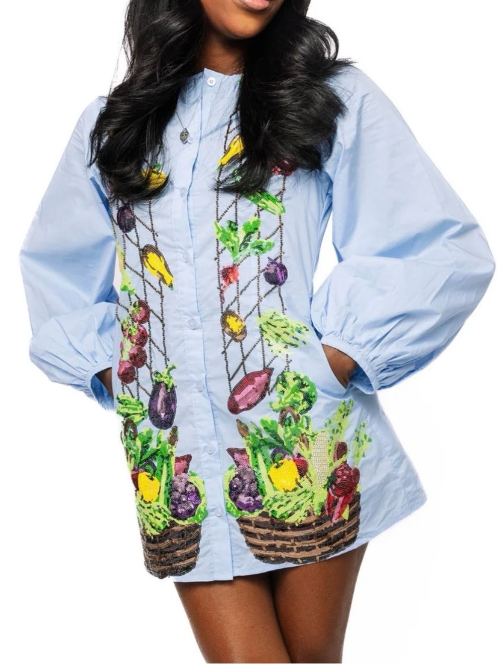 Light Blue Embroidered Sequin Vegetable Print Shirt Dress